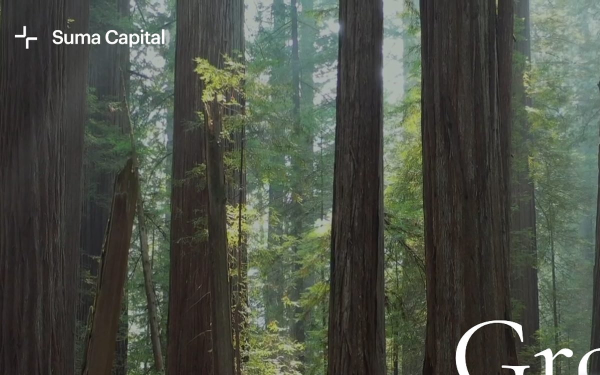 Nzv Ventures website preview